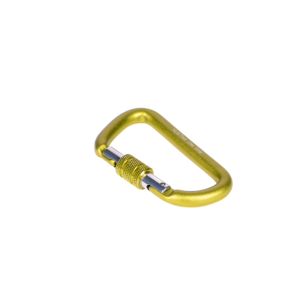 Karabína NLG s nosnosťou 5 kg, malá – kov, zlatá, 30×65 mm